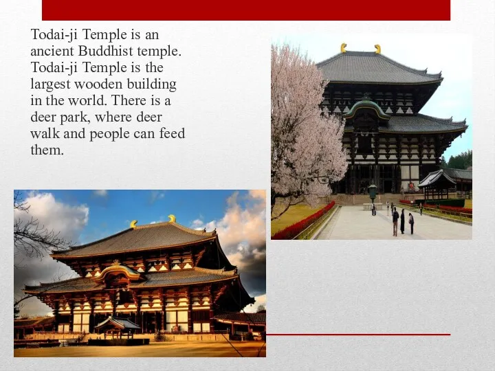 Todai-ji Temple is an ancient Buddhist temple. Todai-ji Temple is