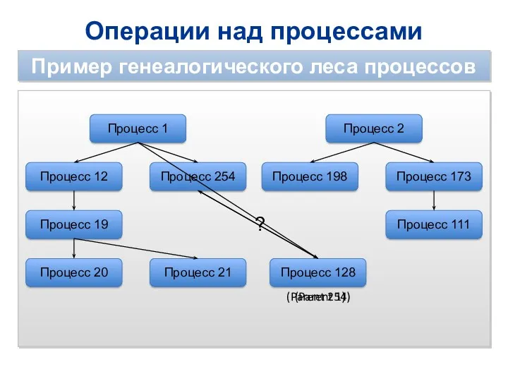 Операции над процессами Пример генеалогического леса процессов Процесс 1 Процесс