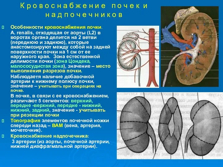 К р о в о с н а б ж