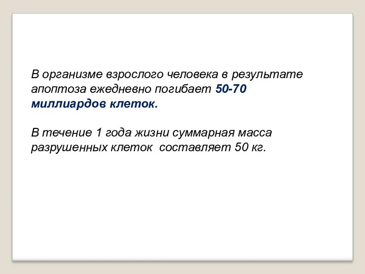 В организме взрослого человека в результате апоптоза ежедневно погибает 50-70