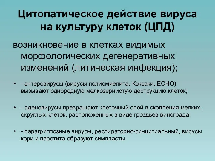 Цитопатическое действие вируса на культуру клеток (ЦПД) возникновение в клетках