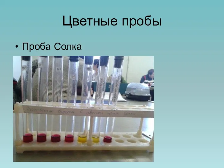 Цветные пробы Проба Солка