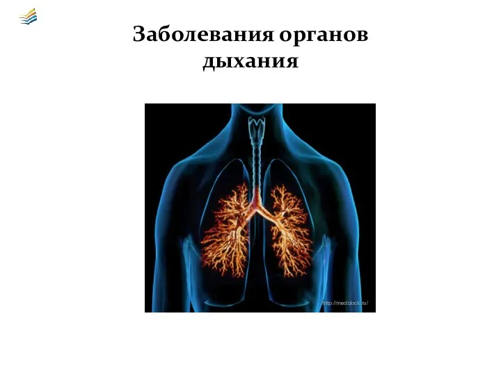 Заболевания органов дыхания http://medblock.ru/