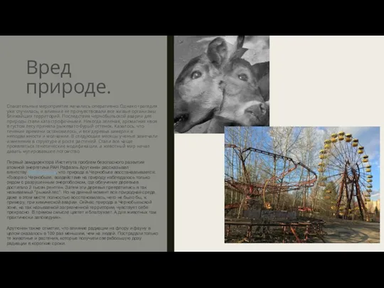 Вред природе. Спасательные мероприятия начались оперативно. Однако трагедия уже случилась,