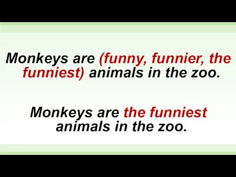 Monkeys are (funny, funnier, the funniest) animals in the zoo.