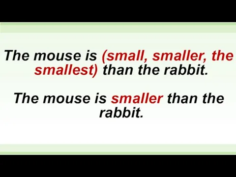 The mouse is (small, smaller, the smallest) than the rabbit.