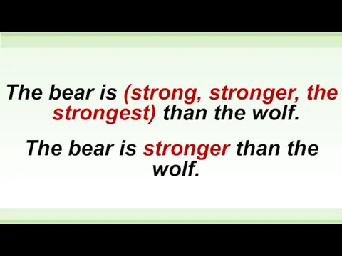 The bear is (strong, stronger, the strongest) than the wolf.