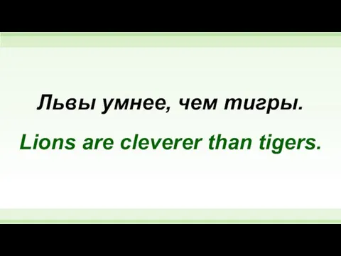 Львы умнее, чем тигры. Lions are cleverer than tigers.
