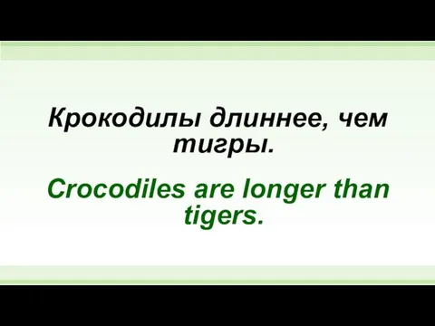 Крокодилы длиннее, чем тигры. Crocodiles are longer than tigers.