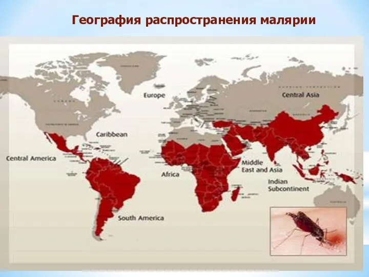 География распространения малярии