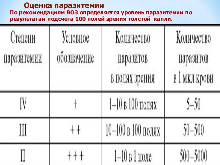 Оценка паразитемии По рекомендациям ВОЗ определяется уровень паразитемии по результатам подсчета 100 полей зрения толстой капли.