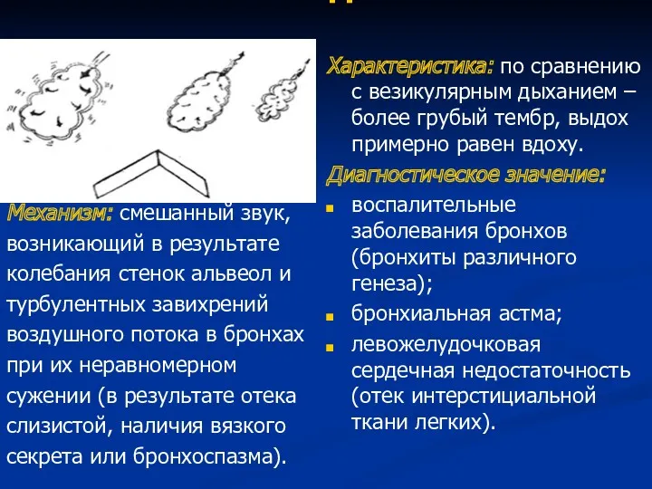 Жесткое дыхание Механизм: смешанный звук, возникающий в результате колебания стенок