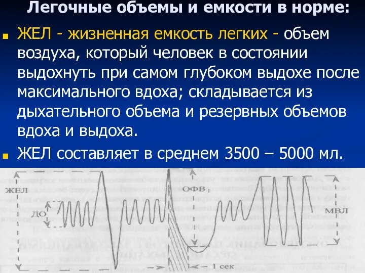 Легочные объемы и емкости в норме: ЖЕЛ - жизненная емкость