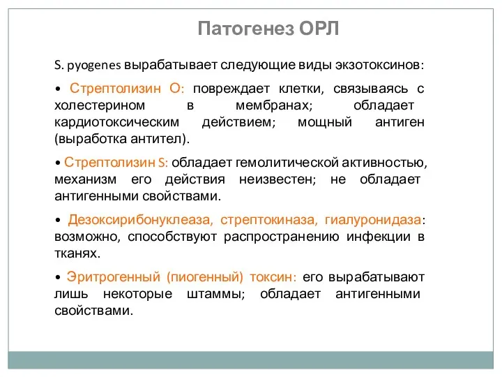 S. pyogenes вырабатывает следующие виды экзотоксинов: • Стрептолизин О: повреждает