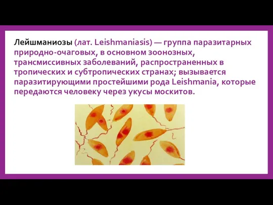 Лейшманиозы (лат. Leishmaniasis) — группа паразитарных природно-очаговых, в основном зоонозных,