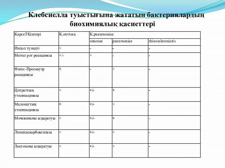 Клебсиелла туыстығына жататын бактериялардың биохимиялық қacиeттepi