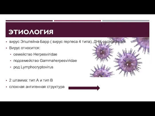 ЭТИОЛОГИЯ вирус Эпштейна-Барр ( вирус герпеса 4 типа), ДНК-содержащий Вирус