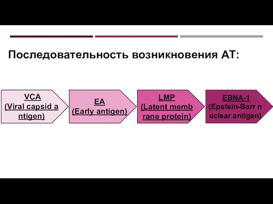Последовательность возникновения АТ: LMP (Latent membrane protein) EBNA-1 (Epstein-Barr nuclear
