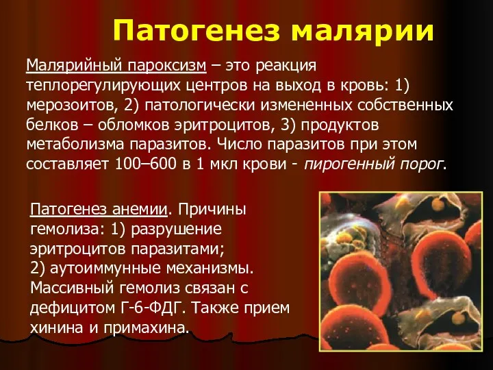 Патогенез малярии Малярийный пароксизм – это реакция теплорегулирующих центров на выход в кровь: