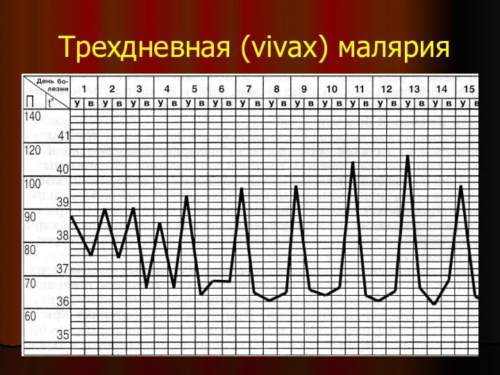 Трехдневная (vivax) малярия