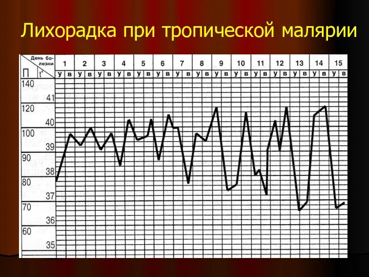 Лихорадка при тропической малярии