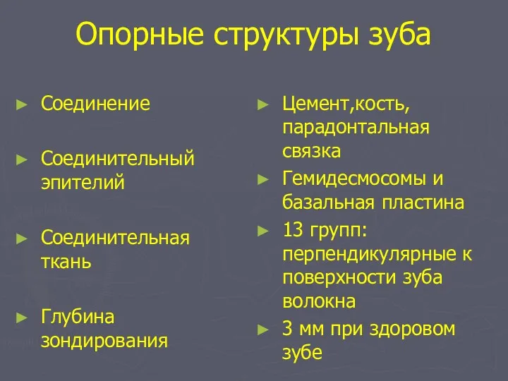 Опорные структуры зуба Соединение Соединительный эпителий Соединительная ткань Глубина зондирования