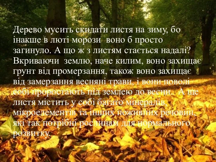 Дерево мусить скидати листя на зиму, бо інакше в люті морози воно б