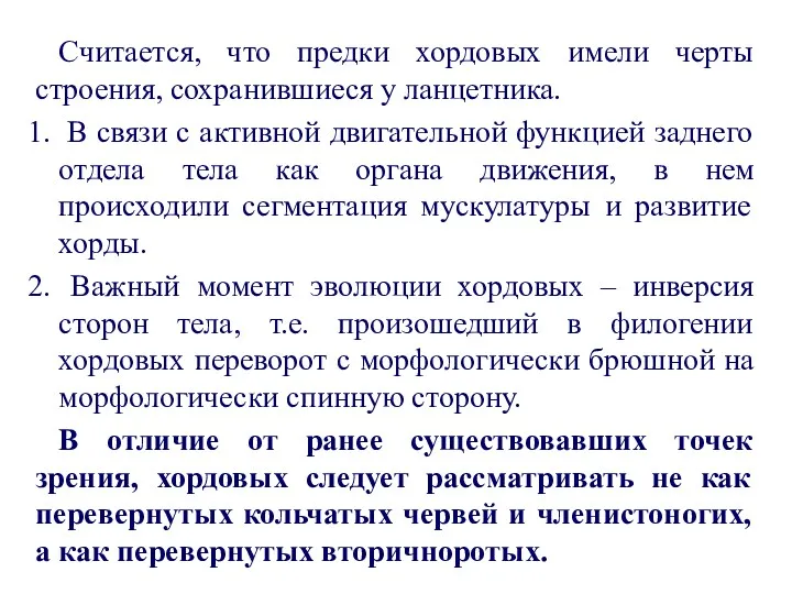 Считается, что предки хордовых имели черты строения, сохранившиеся у ланцетника.