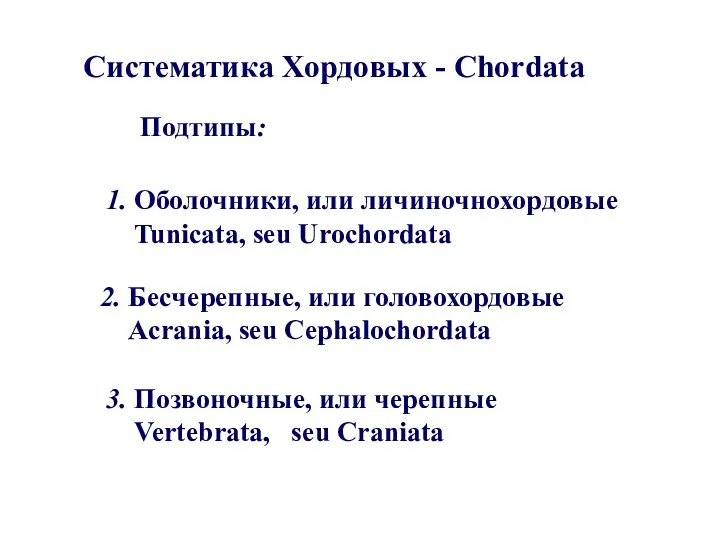 3. Позвоночные, или черепные Vertebrata, seu Craniata Систематика Хордовых -