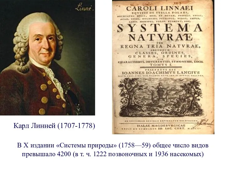 Карл Линней (1707-1778) В X издании «Системы природы» (1758—59) общее