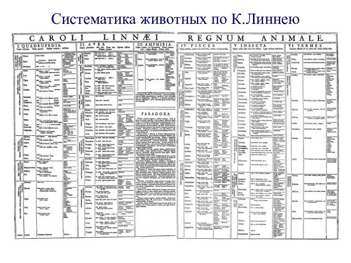 Систематика животных по К.Линнею