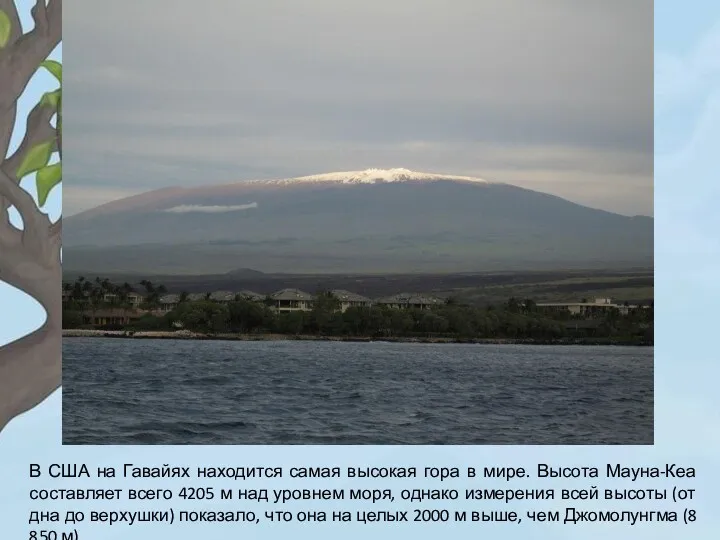 В США на Гавайях находится самая высокая гора в мире. Высота Мауна-Кеа составляет