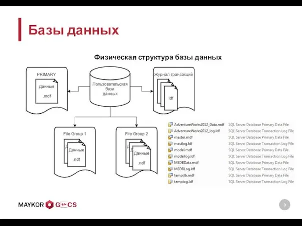 Базы данных Физическая структура базы данных