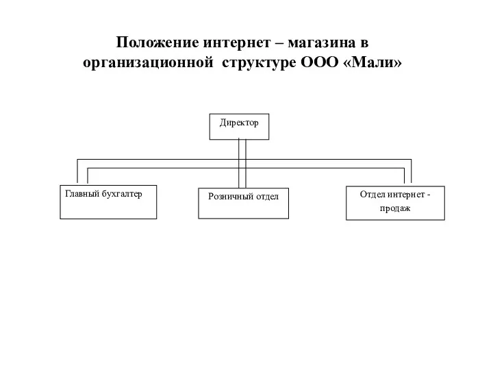 Положение интернет – магазина в организационной структуре ООО «Мали»