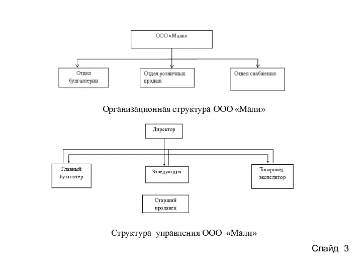 Слайд 3 Организационная структура ООО «Мали» Структура управления ООО «Мали»