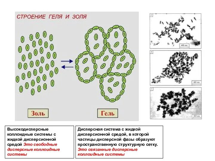 Высокодисперсные коллоидные системы с жидкой дисперсионной средой Это свободные дисперсные