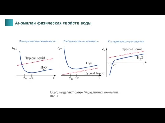 Изотермическая сжимаемость Изобарическая теплоемкость К-т термического расширения Всего выделяют более