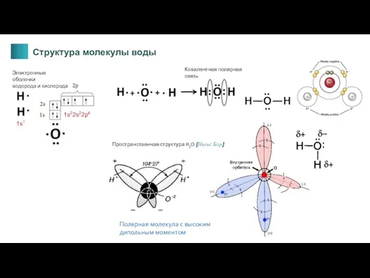 Полярная молекула с высоким дипольным моментом Пространственная структура H2O [Нильс