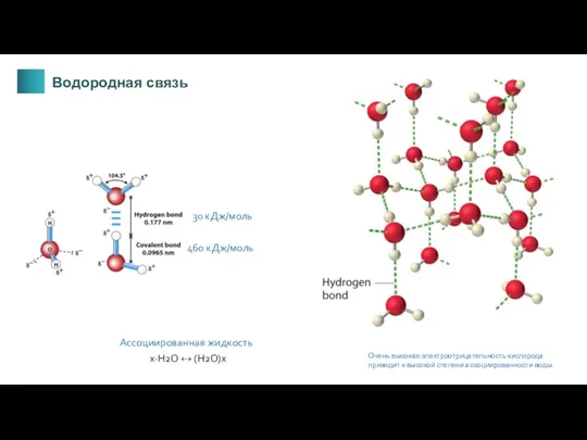 30 кДж/моль 460 кДж/моль Ассоциированная жидкость x·H2O ↔ (H2O)x Очень