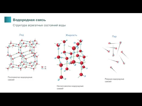 Пар Жидкость Лед Разрыв водородных связей Постоянство водородных связей Непостоянство