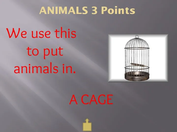 ANIMALS 3 Points We use this to put animals in. A CAGE