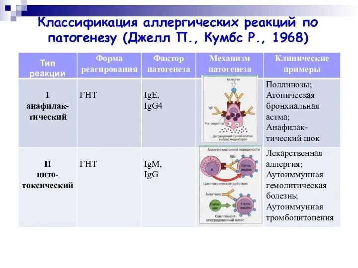 Классификация аллергических реакций по патогенезу (Джелл П., Кумбс Р., 1968)