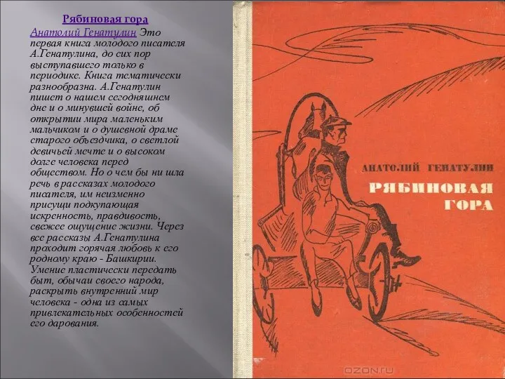 Рябиновая гора Анатолий Генатулин Это первая книга молодого писателя А.Генатулина,