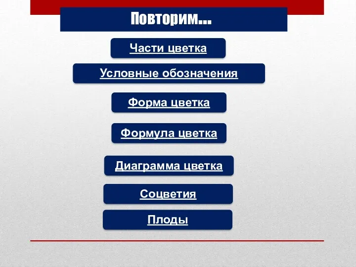 Повторим… Части цветка Условные обозначения Формула цветка Форма цветка Диаграмма цветка Соцветия Плоды