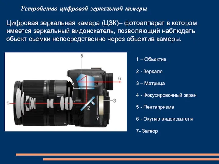 Устройство цифровой зеркальной камеры Цифровая зеркальная камера (ЦЗК)– фотоаппарат в