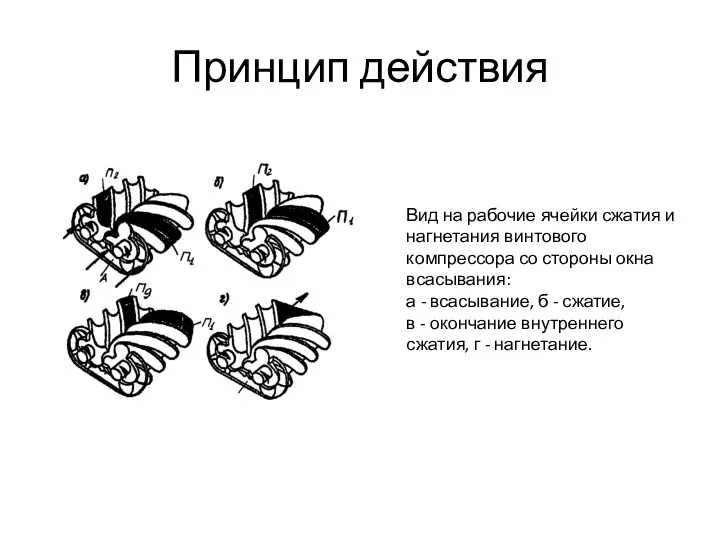 Принцип действия Вид на рабочие ячейки сжатия и нагнетания винтового