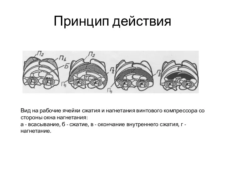 Принцип действия Вид на рабочие ячейки сжатия и нагнетания винтового