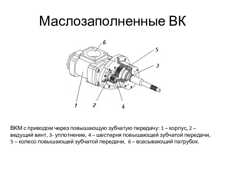 Маслозаполненные ВК ВКМ с приводом через повышающую зубчатую передачу: 1