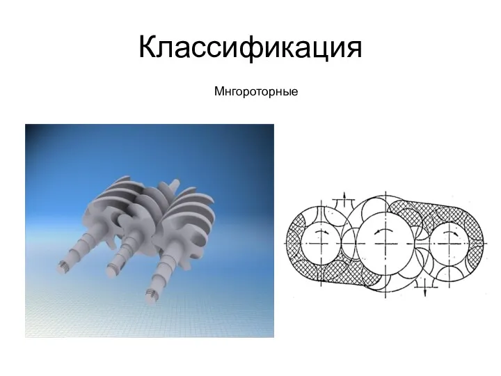 Классификация Мнгороторные