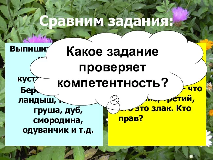 Сравним задания: Выпишите отдельно названия деревьев, кустарников, трав: Береза, бузина,